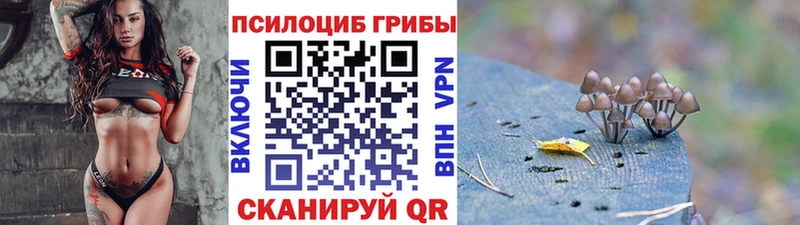 Галлюциногенные грибы Cubensis хочу наркоту мориарти как зайти Ростов-на-Дону